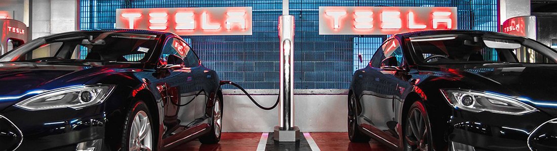 Tesla sigue su camino