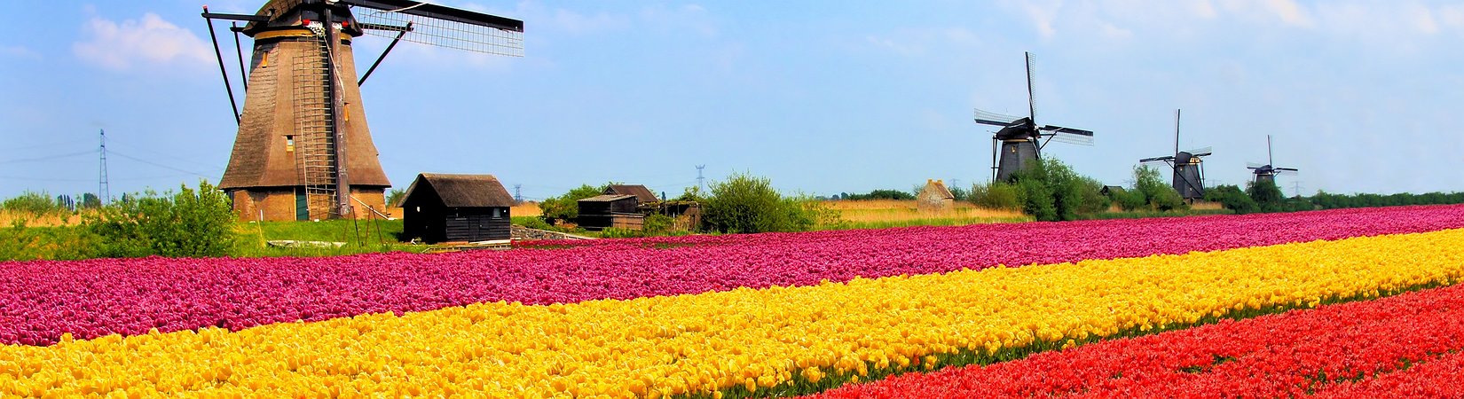 الاتحاد الأوروبي في خطر