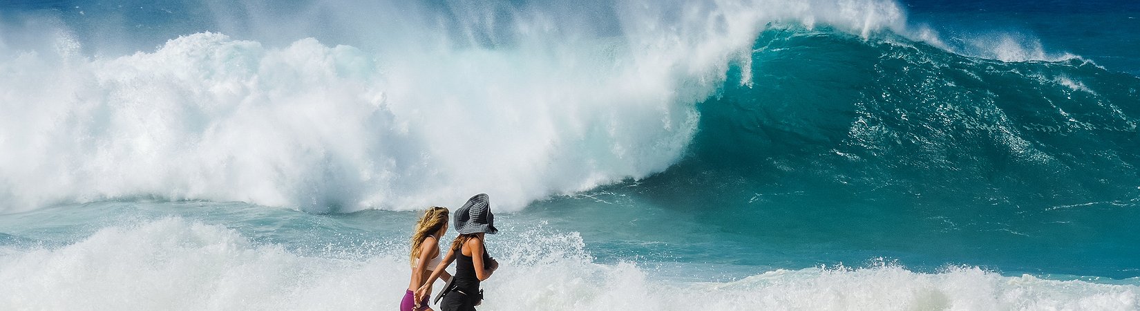 Catching Waves of Smart Contracts