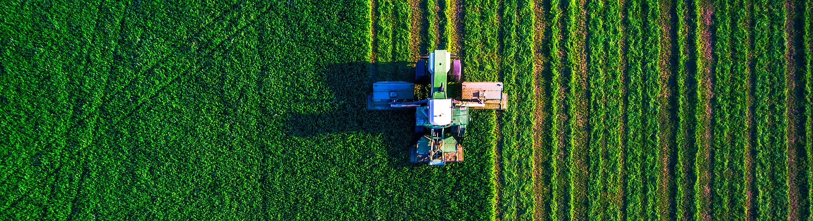 5 usos del blockchain fuera del mundo de las criptomonedas