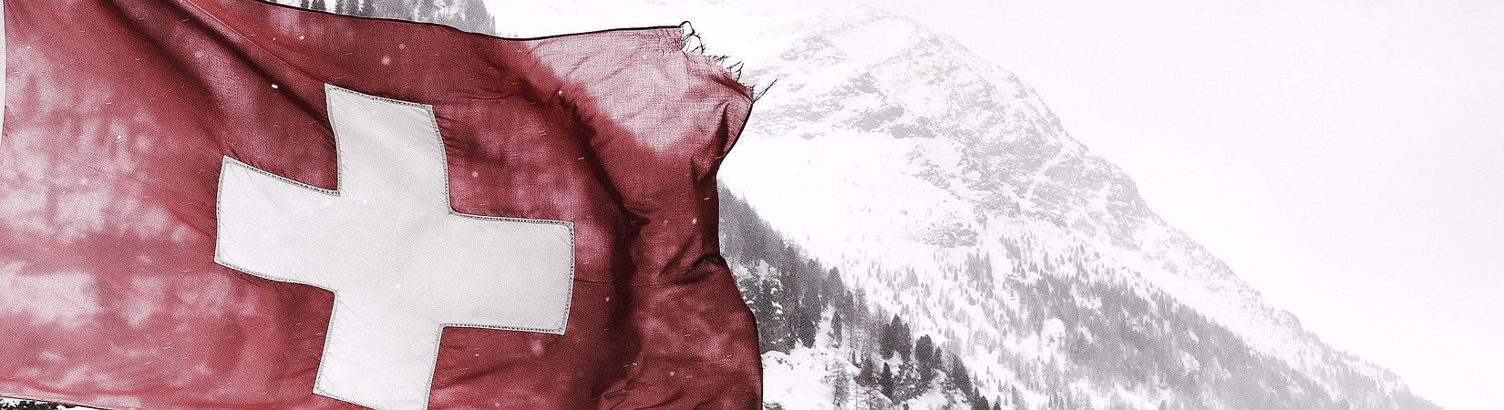 Principales noticias del 06/12/2019