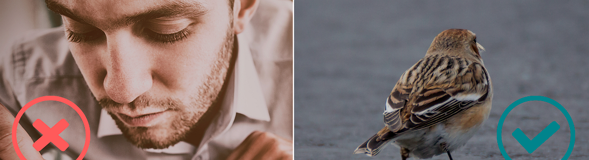 Cómo averiguar si trabajas para una empresa tóxica