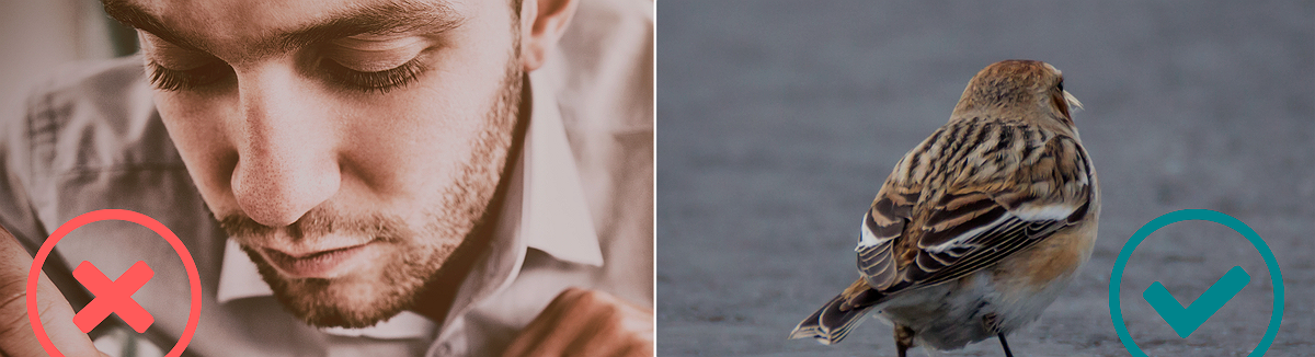 Como averiguar se trabalha para uma empresa tóxica