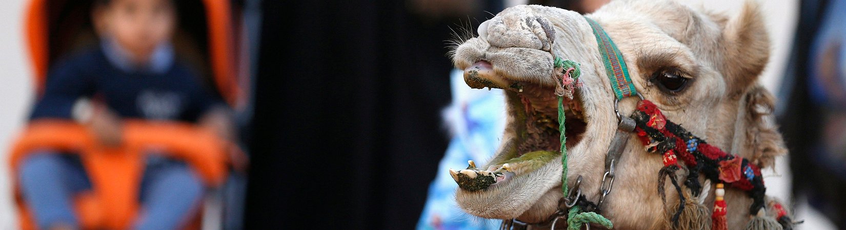 Cómo Arabia Saudí ha sido víctima de sus propias armas