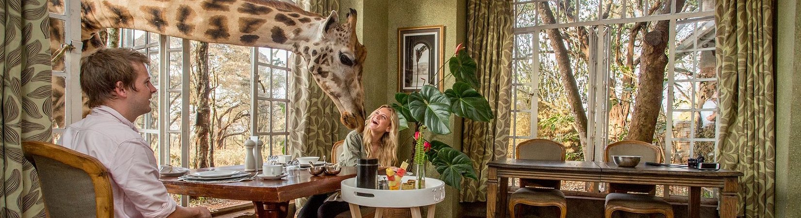 5 resorts en los que puedes disfrutar de animales exóticos