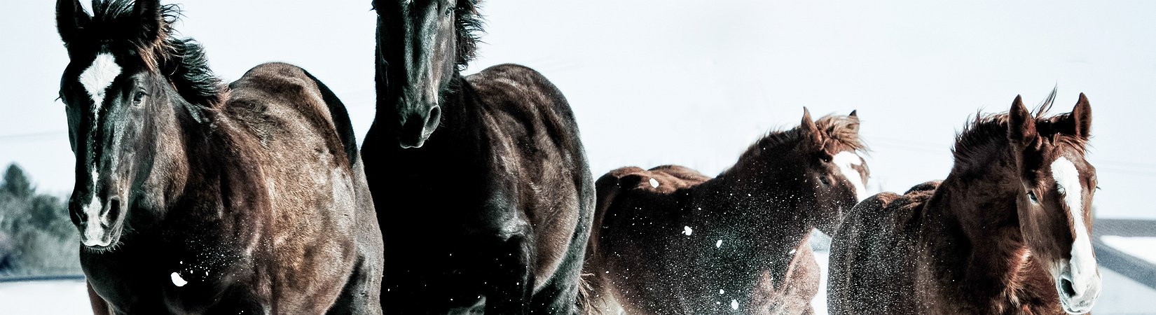 4 دلائل على بدء الركود