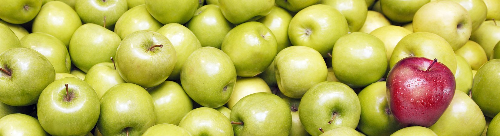 المفاهيم التي يجب أن تعرف الفرق بينها