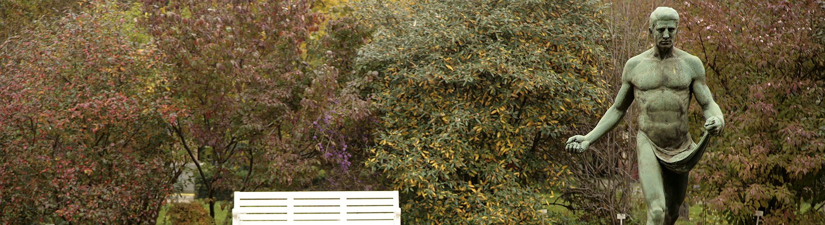 أفضل طريقة لشراء الأسهم