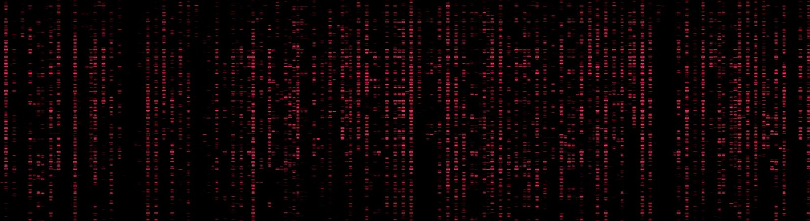 Analysts Discovered Zero-Day Exploit Targeting 280+ Blockchain Networks