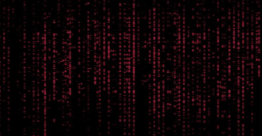 Analysts Discovered Zero-Day Exploit Targeting 280+ Blockchain Networks