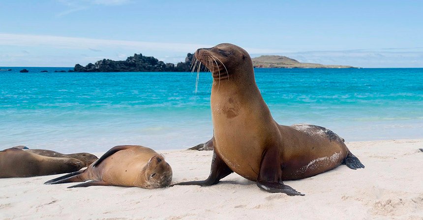 30 spiagge imperdibili