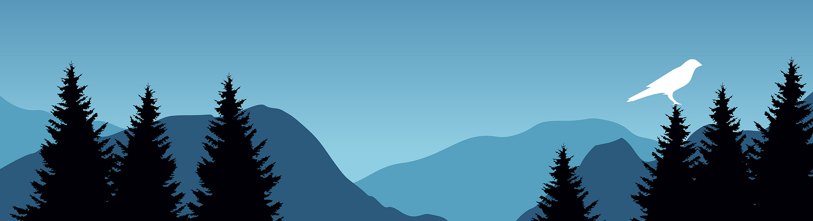 Expectations Mount as Kusama Parachain Auctions Go Live