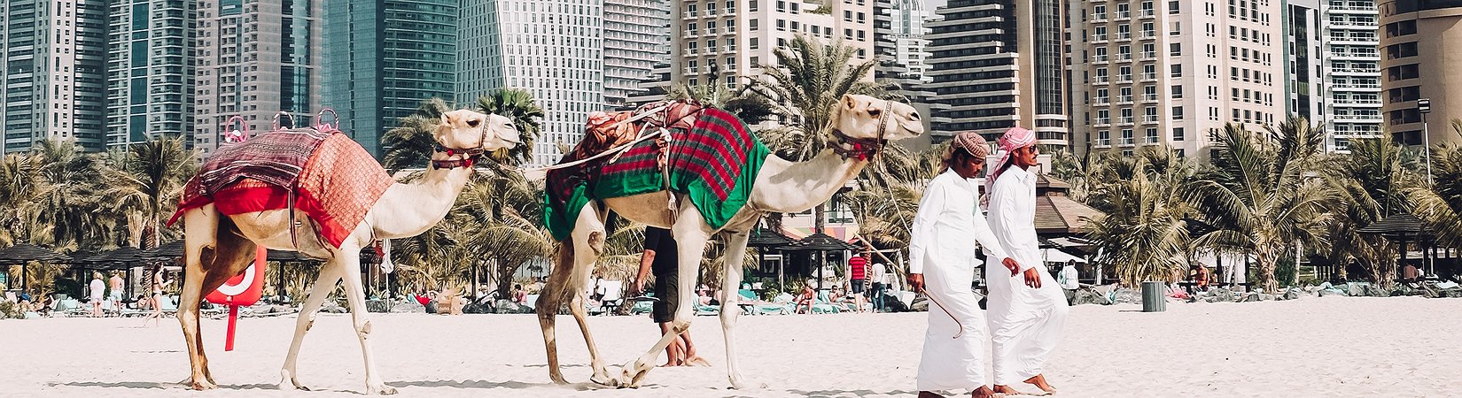 Los EAU y Arabia Saudí planean crear una criptomoneda