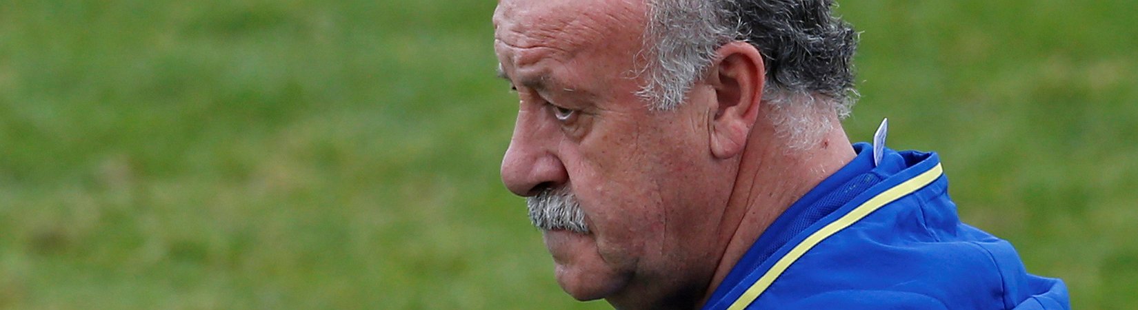 Vicente del Bosque abandona la "Roja"