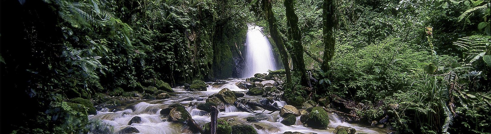 Desde Hawái hasta Mongolia: Guía de cataratas secretas para turistas