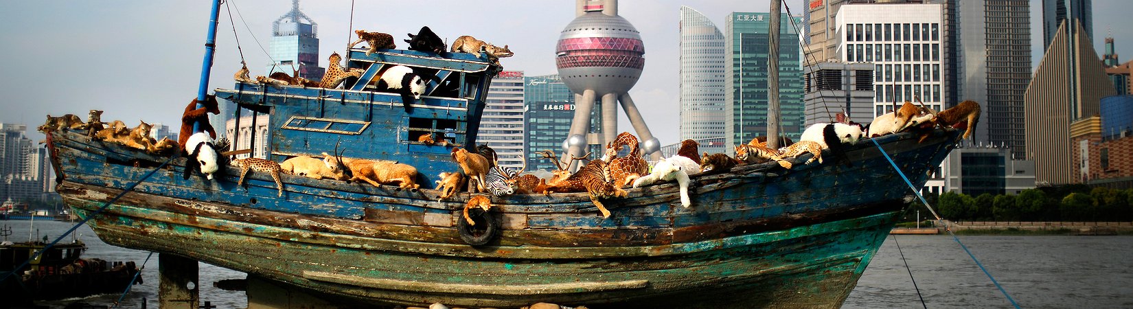  الحمى الصينية العظيمة