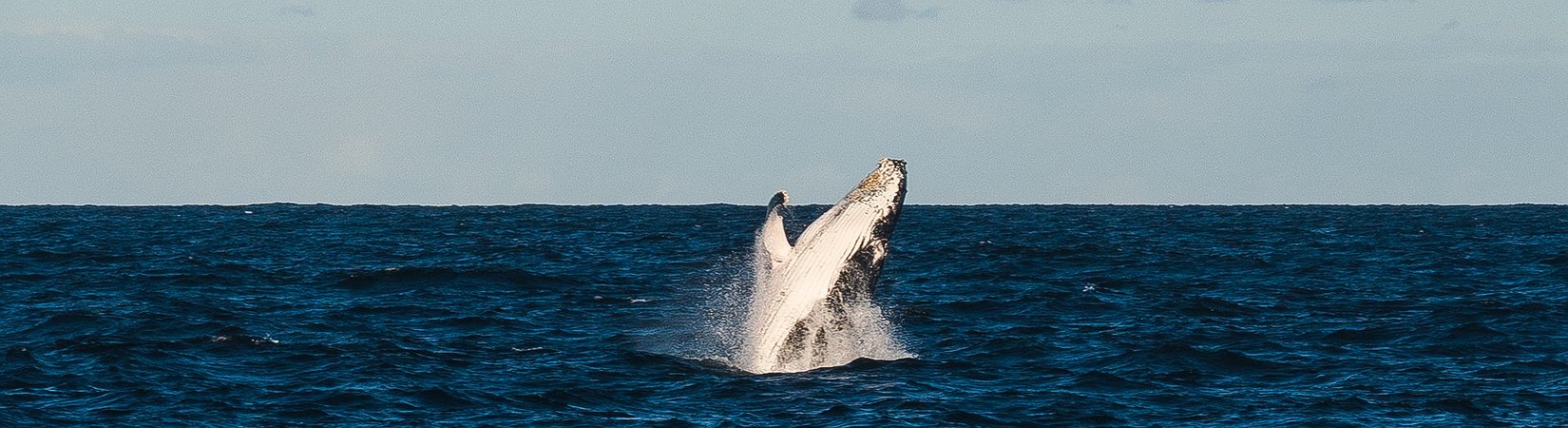 Principales noticias del 27/10/2020