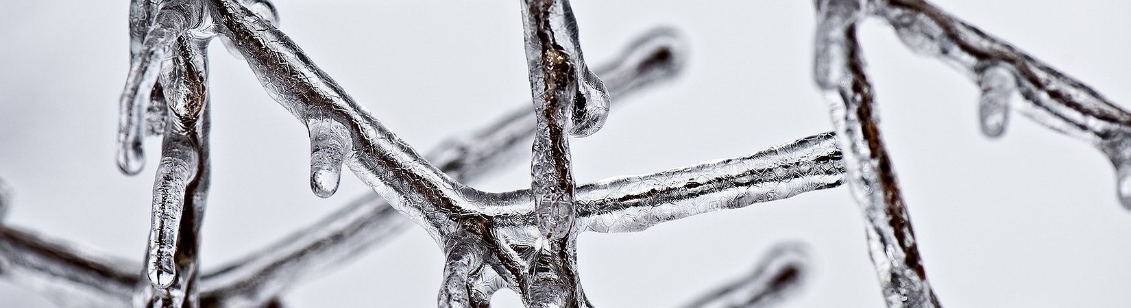 Circle and Tether Freeze $65M in Withdrawn Multichain Assets