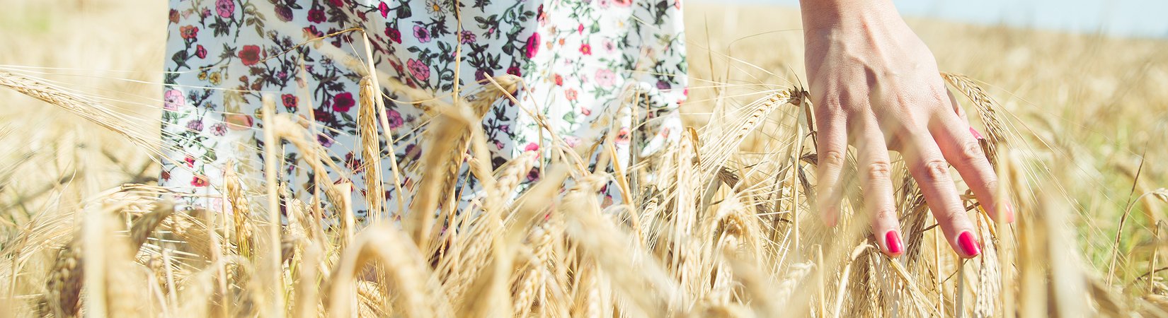 Como encontrar as melhores ações