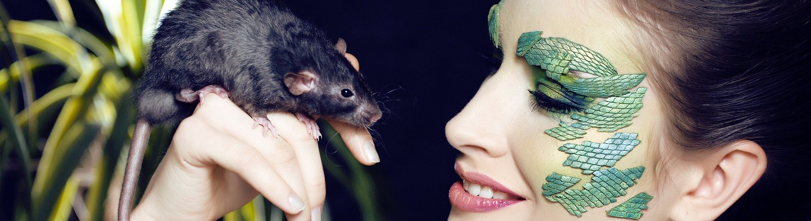 Quando ho trasformato dei topi in broker di Wall Street