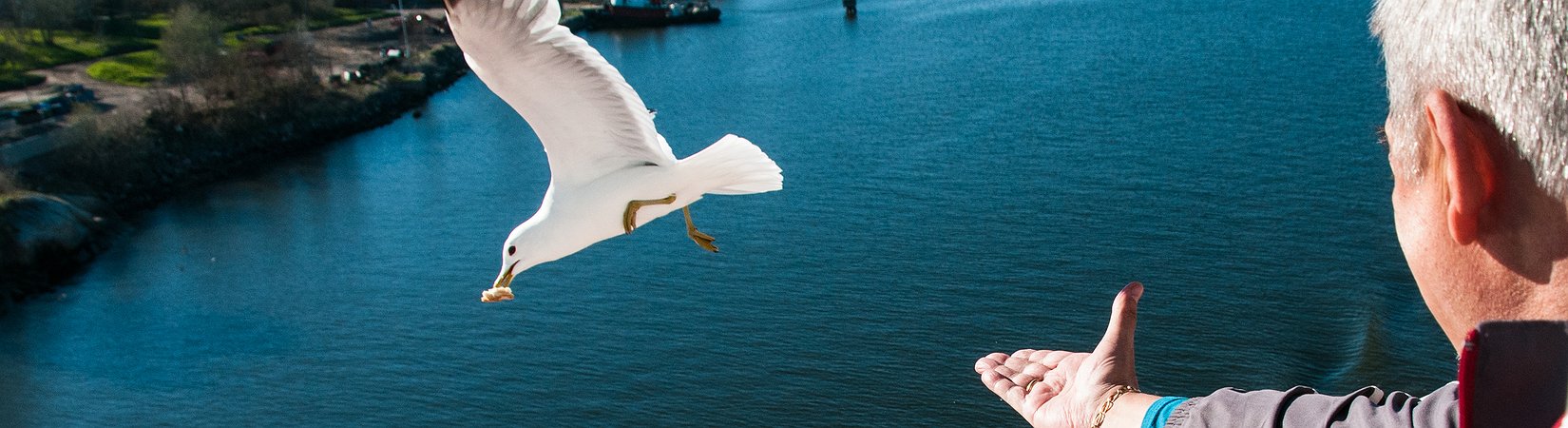 El experimento relativo a la renta básica de Finlandia es demasiado débil