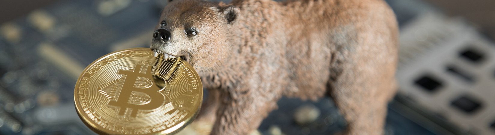 El precio del bitcoin regresa a los 12.300 $