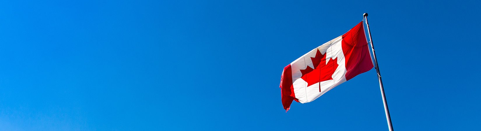 La agencia de impuestos de Canadá investiga a los inversores en criptomonedas
