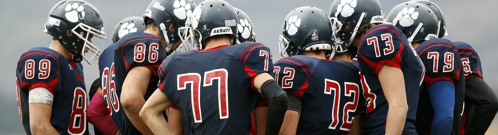 Meta Joins Crypto Alliance to Protect Open-Source Tech