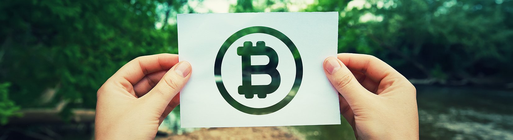 Abogados de criptoempresario de Israel dicen que white papers no son legalmente vinculantes