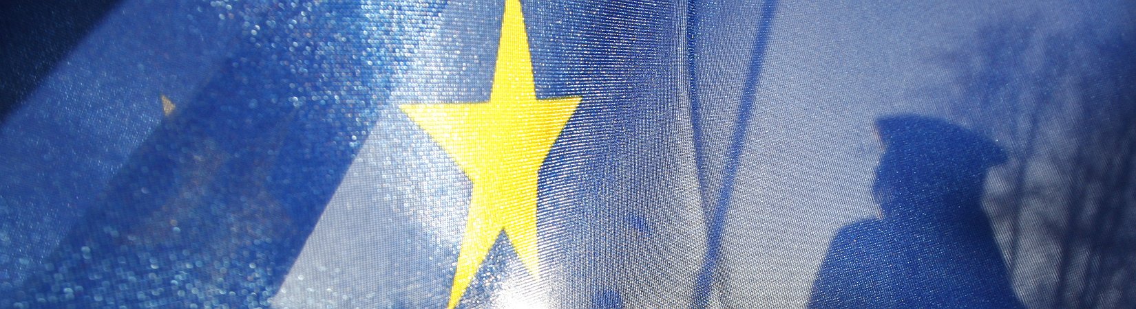 9 cose che la Commissione europea vuole rendere illegali