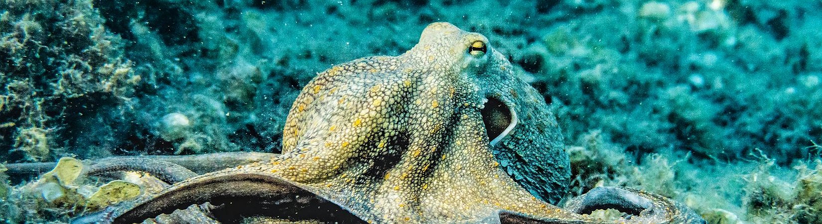 Kraken Expands into US Crypto Derivatives Market