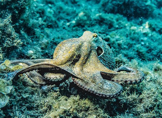 Kraken Expands into US Crypto Derivatives Market