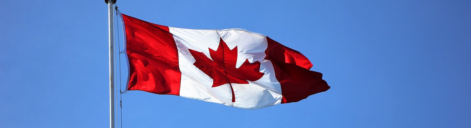 Canadá estrena los primeros ETFs de bitcoin y ether con pagos mensuales