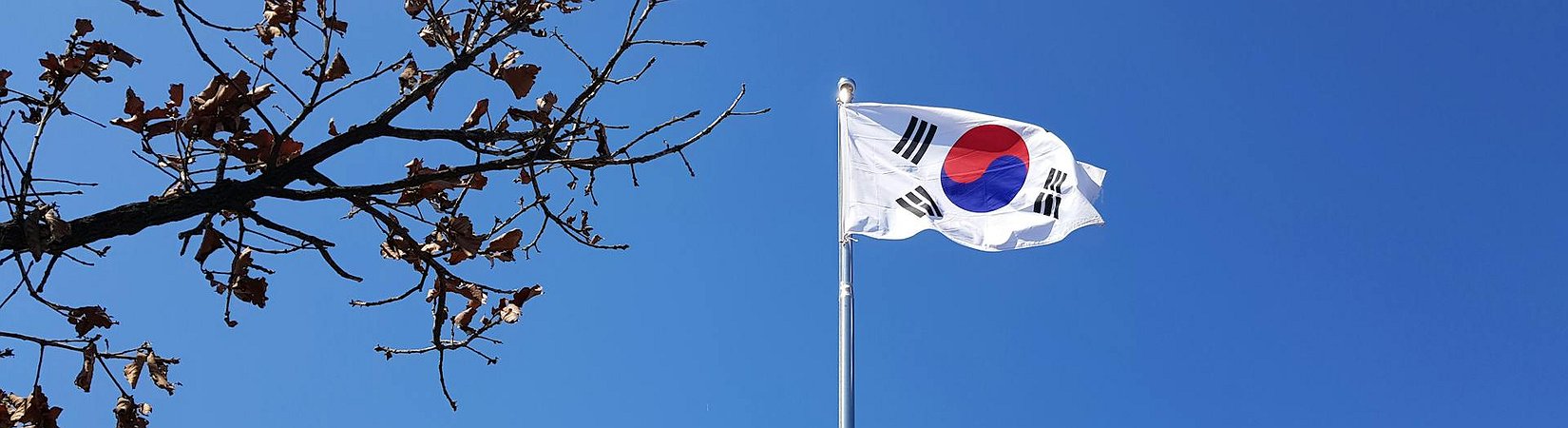 South Korea to Delay Cryptocurrency Gains Taxation by 3 Years