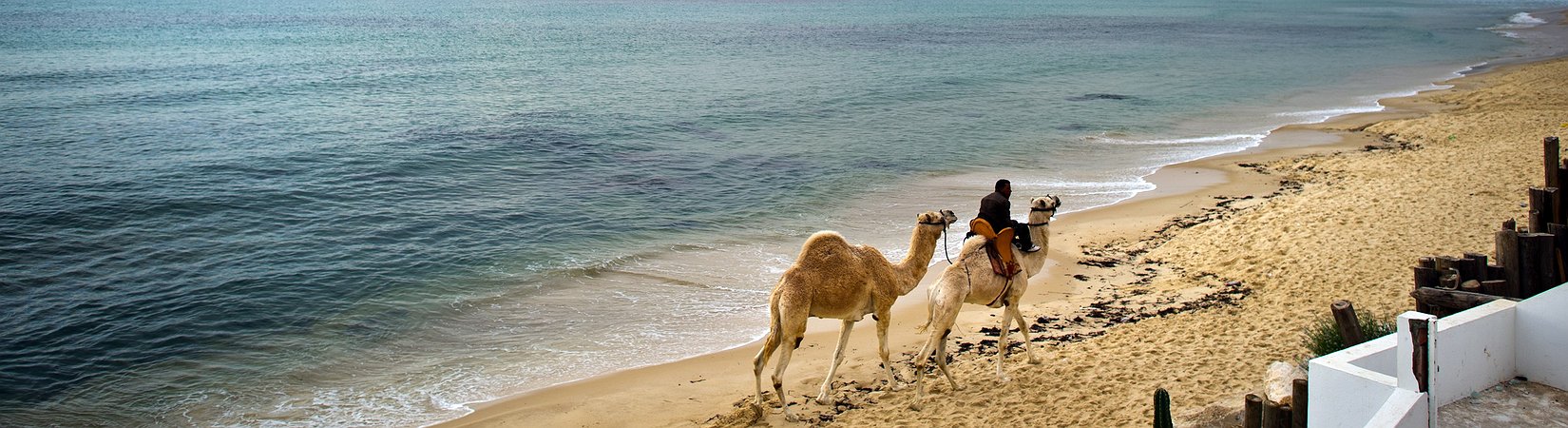 23 Razões para se apaixonar pela Tunísia