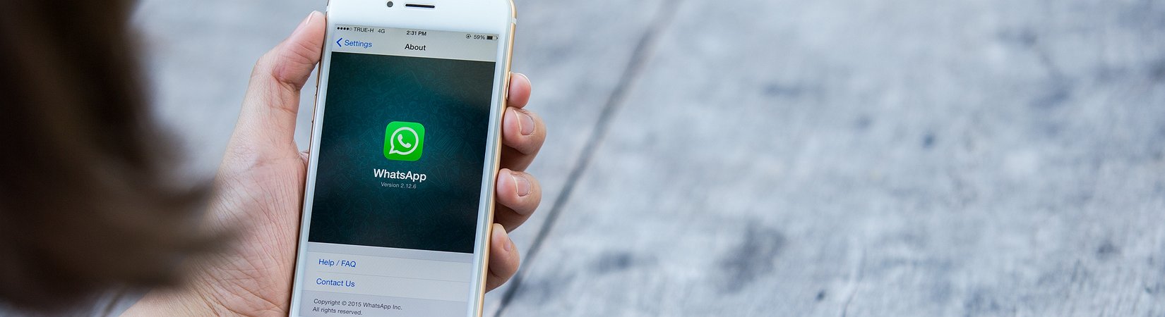 Todo el mundo usa WhatsApp