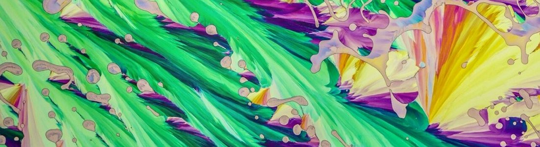 15 imágenes de microscopio que te harán ver el mundo con otros ojos