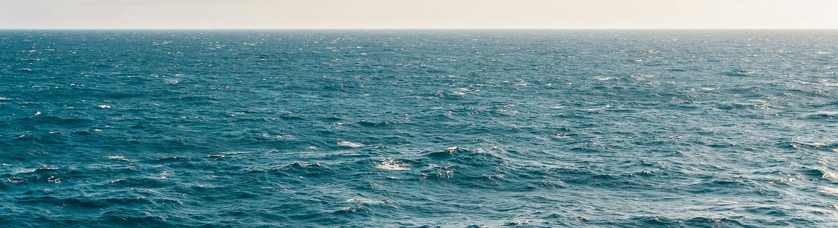OpenSea Adds Support for ERC-721C Standard