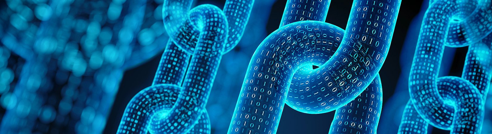 «A blockchain será tão amplamente adotada como a Internet»