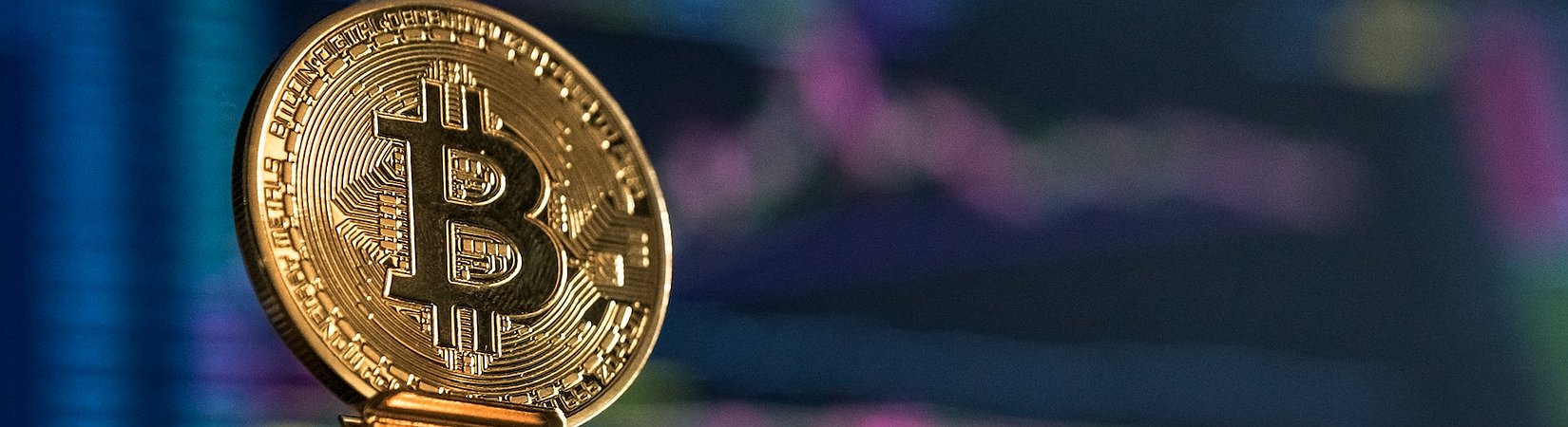 Bitcoin After Next Halving. A Moment of Anticipation for All BTC Fans?
