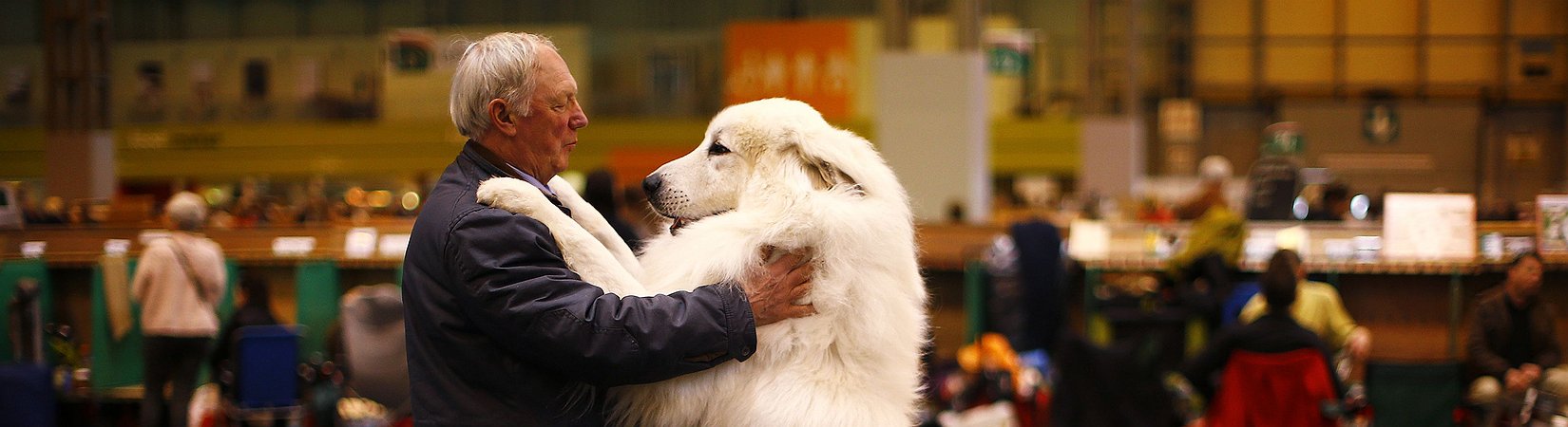 Los animales más bellos de 2015