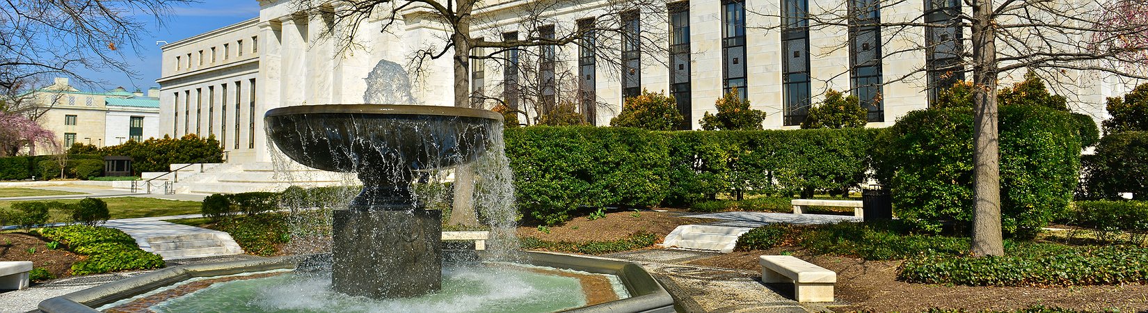 الاقتصاد المشوه