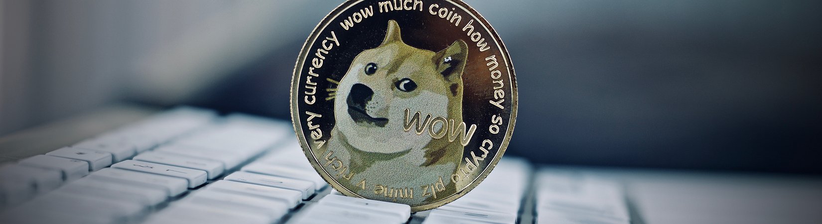 El precio del Dogecoin se multiplica casi por 3 en una semana