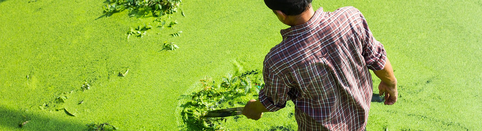 PIB português estagna no terceiro trimestre