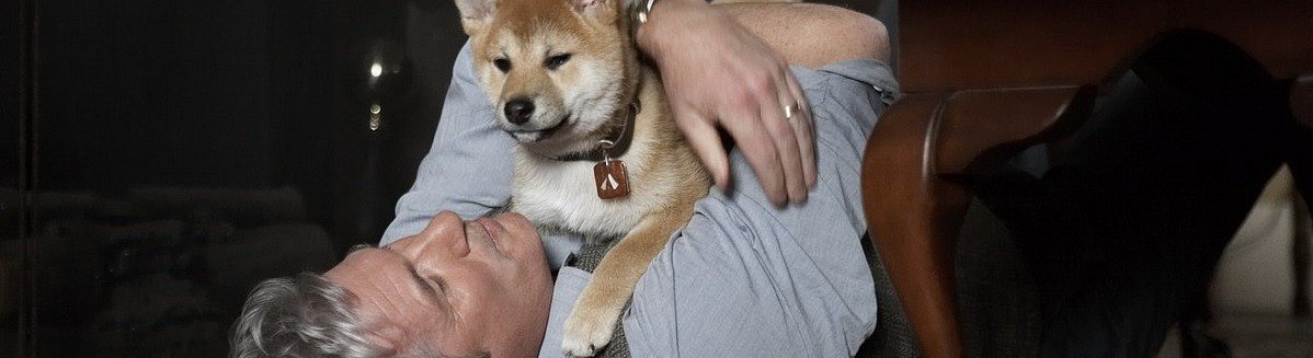 Gonzo Crypto Blog - Week 10: Shibe, Fetch That Moon