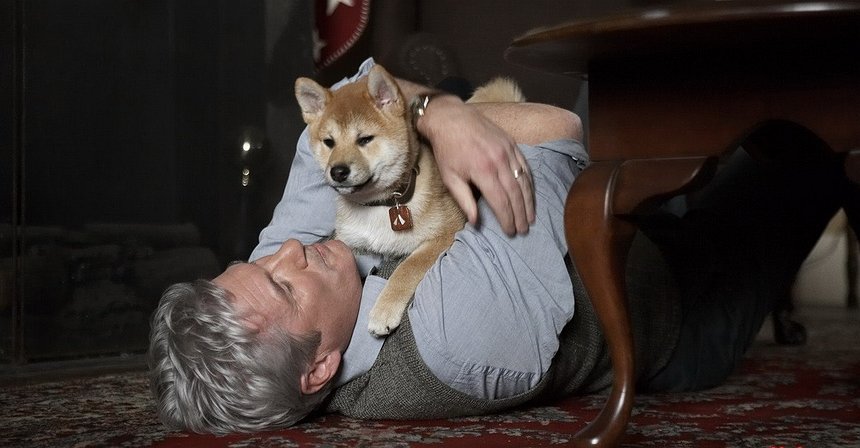 Gonzo Crypto Blog - Week 10: Shibe, Fetch That Moon