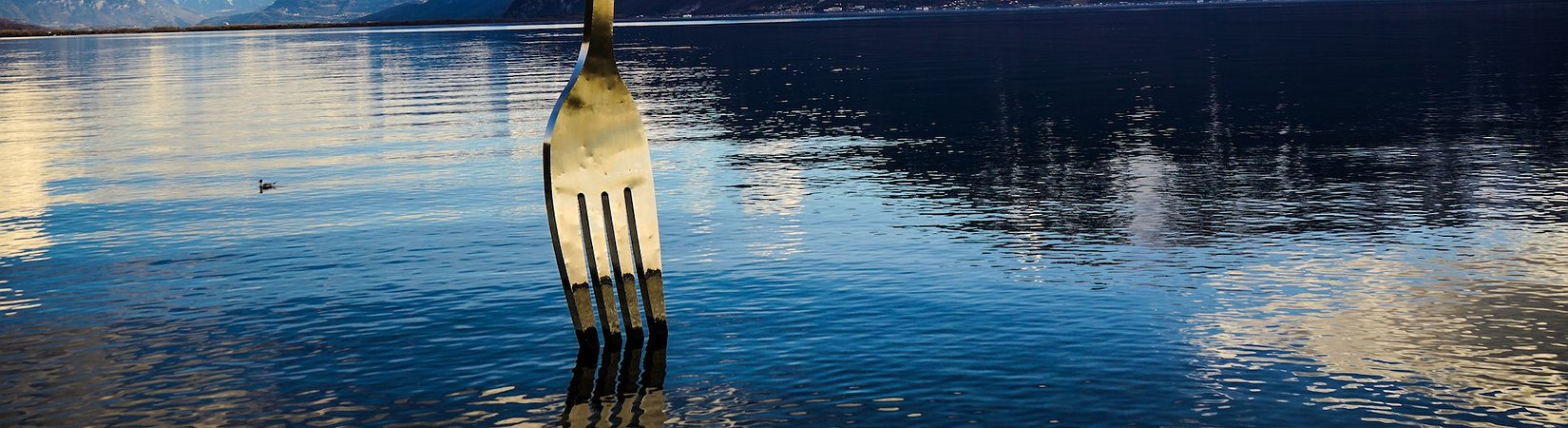 Cardano Activates Vasil Hard Fork