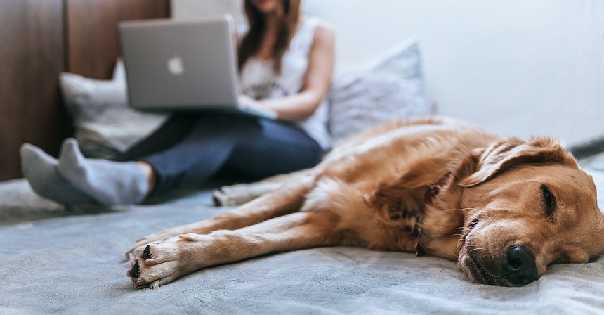 5 modalità di investimento nelle criptovalute