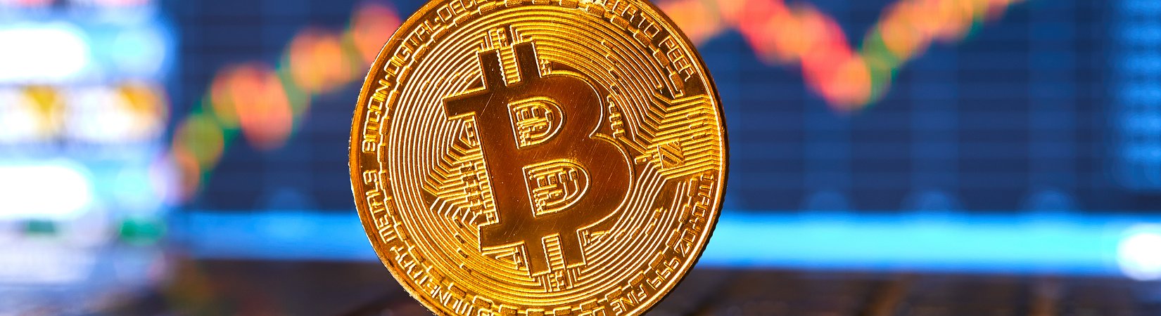 Harvard, Stanford e MIT investiram em fundos de criptomoedas