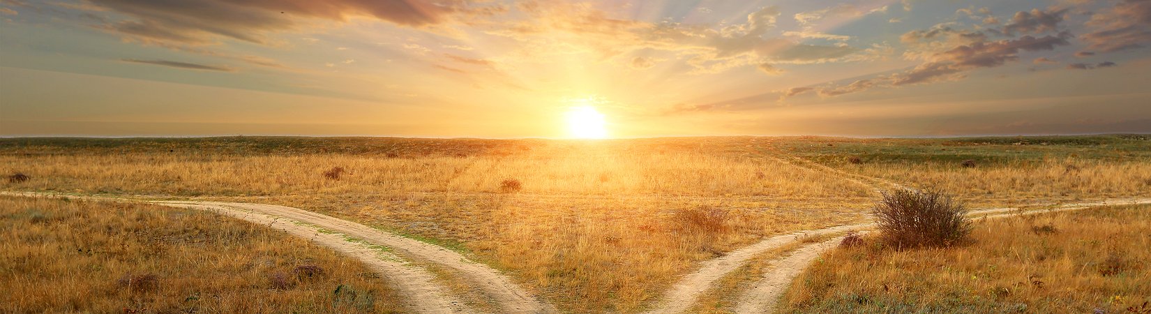 La red del Bitcoin Cash activa con éxito su último hard fork